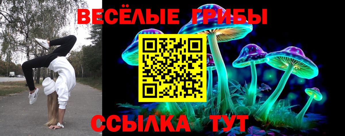 Галлюциногенные грибы GOLDEN TEACHER Ярославль