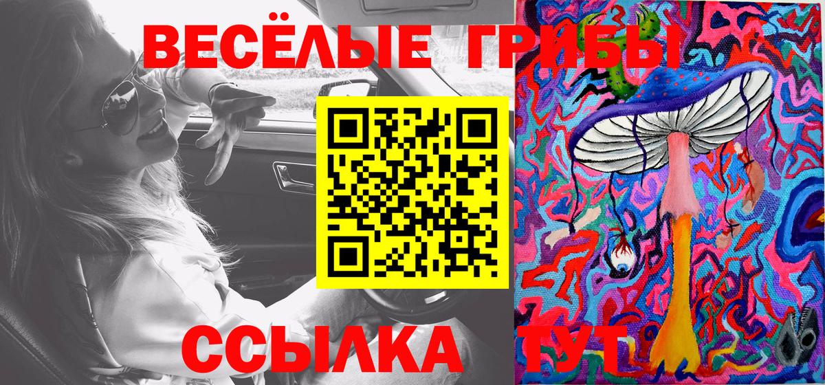 Ярославль  Псилоцибиновые грибы Psilocybine cubensis  Вход с VPN 